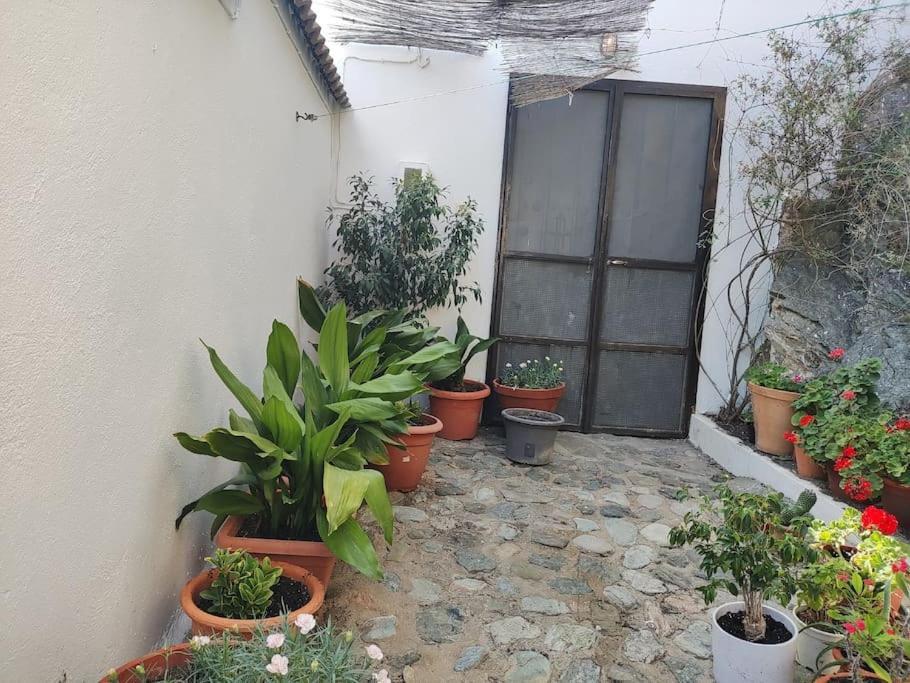 Casa En El Valle De Guainosaltos 아드라 외부 사진